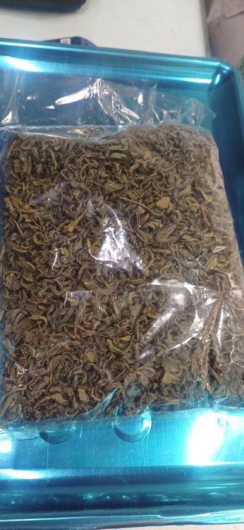 چای سبز خوش طعم بسته 200 گرمی