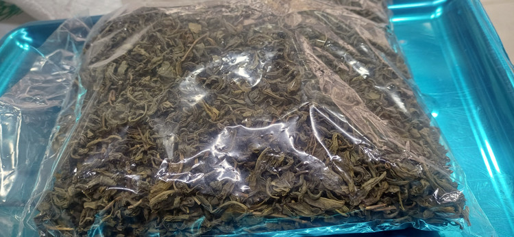 چای سبز خوش طعم بسته 200 گرمی