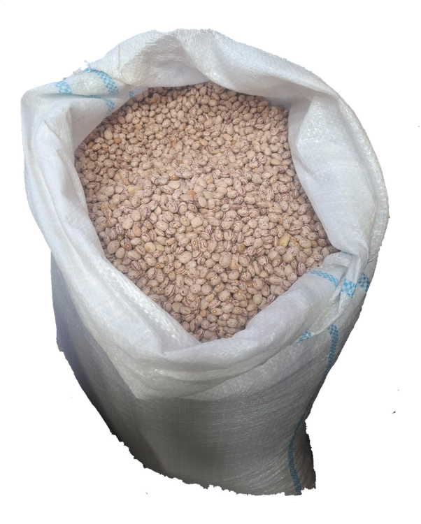 لوبیا چیتی تازه و خوشپخت ۱ کیلویی