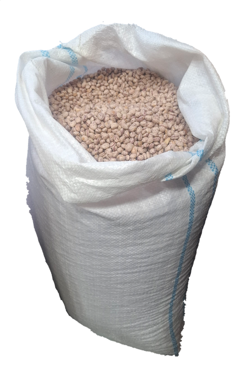 لوبیا چیتی تازه و خوشپخت ۱ کیلویی