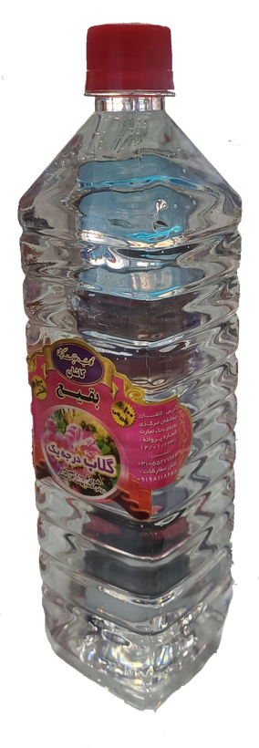 گلاب درجه یک کاشان | عطر اصیل گل محمدی | خوشطعم و باکیفیت